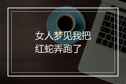 女人梦见我把红蛇弄跑了