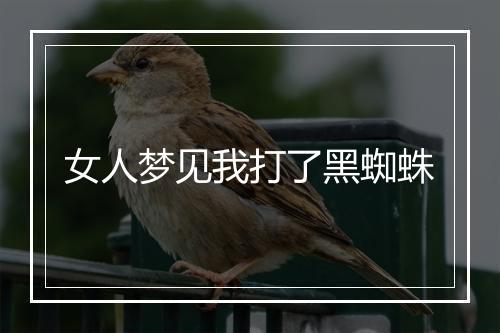 女人梦见我打了黑蜘蛛