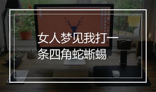 女人梦见我打一条四角蛇蜥蜴