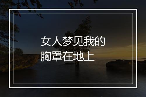 女人梦见我的胸罩在地上