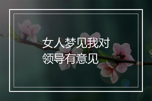 女人梦见我对领导有意见