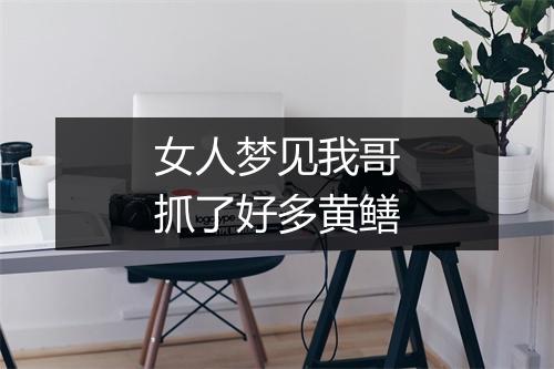 女人梦见我哥抓了好多黄鳝