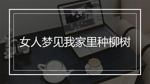 女人梦见我家里种柳树