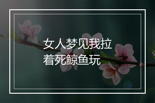 女人梦见我拉着死鲸鱼玩