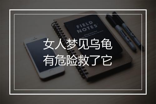 女人梦见乌龟有危险救了它