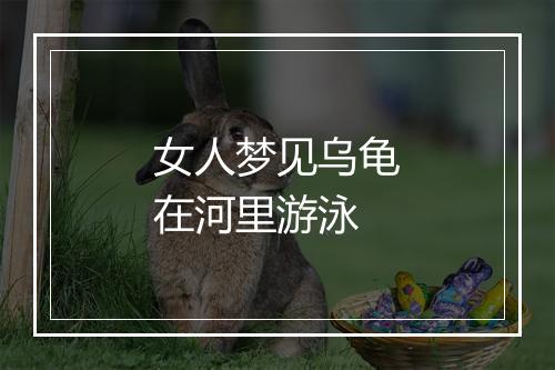 女人梦见乌龟在河里游泳