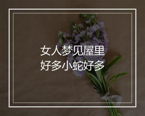 女人梦见屋里好多小蛇好多