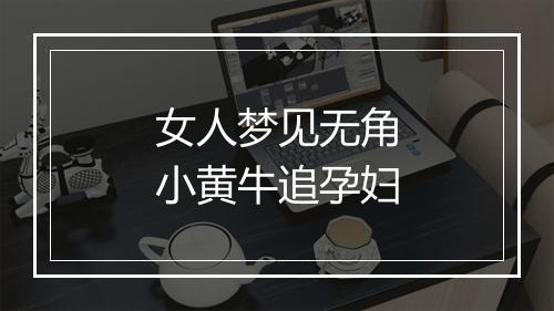 女人梦见无角小黄牛追孕妇