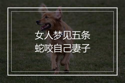 女人梦见五条蛇咬自己妻子