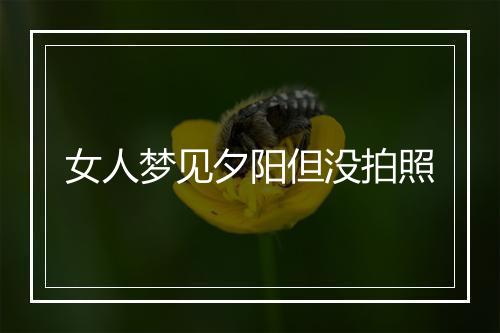 女人梦见夕阳但没拍照