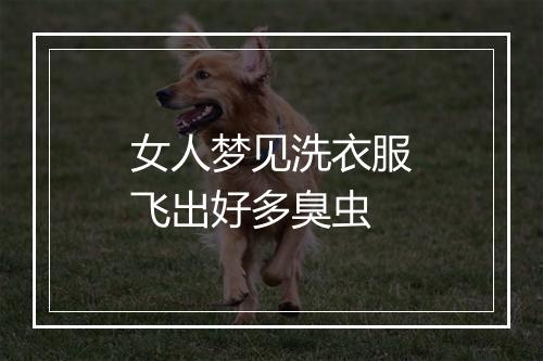 女人梦见洗衣服飞出好多臭虫