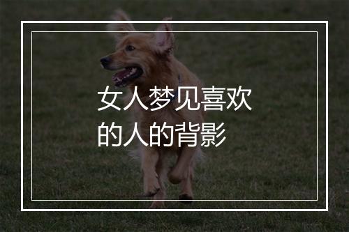 女人梦见喜欢的人的背影