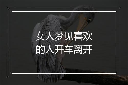 女人梦见喜欢的人开车离开