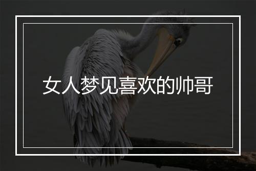 女人梦见喜欢的帅哥