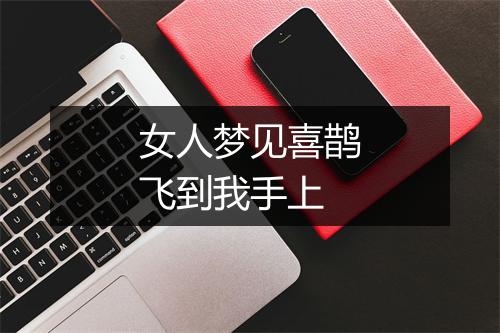 女人梦见喜鹊飞到我手上