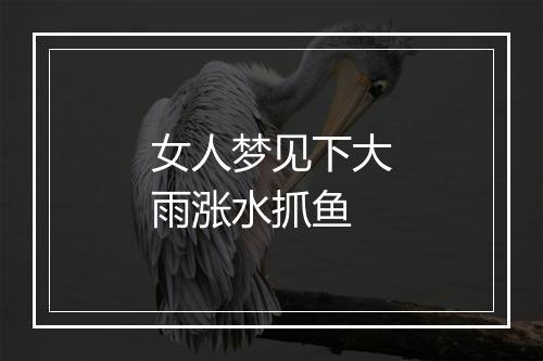 女人梦见下大雨涨水抓鱼