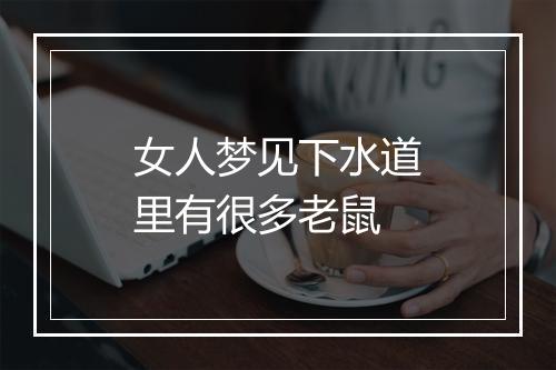 女人梦见下水道里有很多老鼠