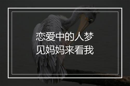 恋爱中的人梦见妈妈来看我