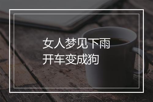 女人梦见下雨开车变成狗