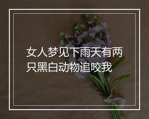 女人梦见下雨天有两只黑白动物追咬我