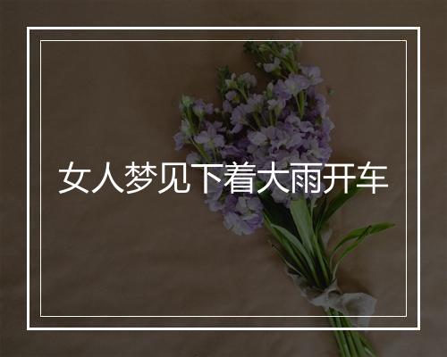 女人梦见下着大雨开车