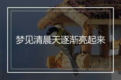 梦见清晨天逐渐亮起来