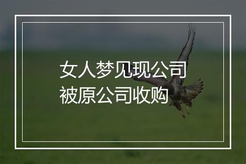 女人梦见现公司被原公司收购