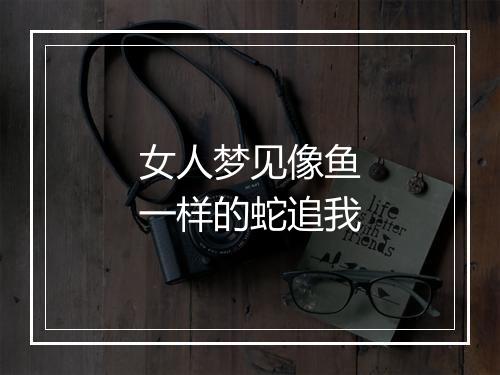 女人梦见像鱼一样的蛇追我