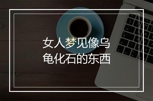 女人梦见像乌龟化石的东西