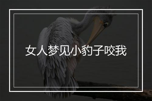 女人梦见小豹子咬我