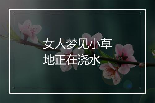 女人梦见小草地正在浇水