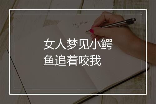 女人梦见小鳄鱼追着咬我