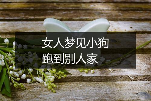 女人梦见小狗跑到别人家