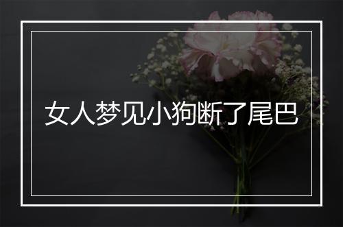 女人梦见小狗断了尾巴