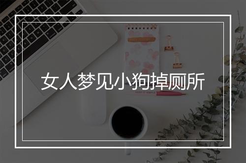 女人梦见小狗掉厕所