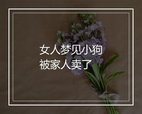 女人梦见小狗被家人卖了