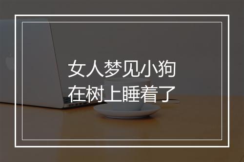 女人梦见小狗在树上睡着了