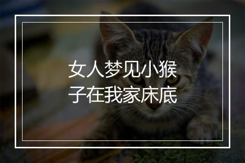 女人梦见小猴子在我家床底