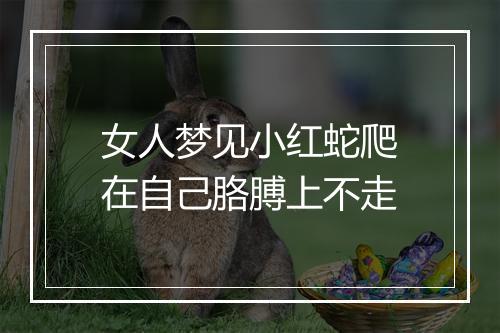 女人梦见小红蛇爬在自己胳膊上不走