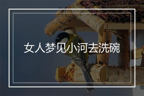 女人梦见小河去洗碗