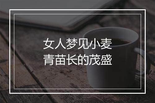 女人梦见小麦青苗长的茂盛