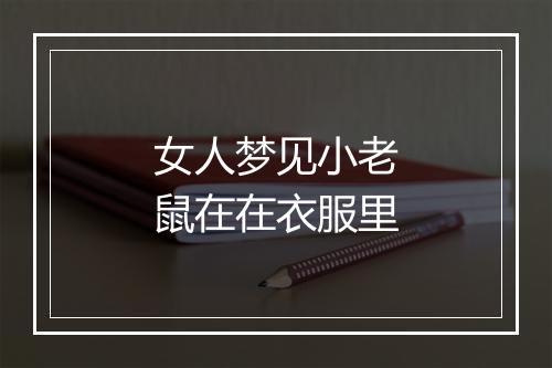 女人梦见小老鼠在在衣服里