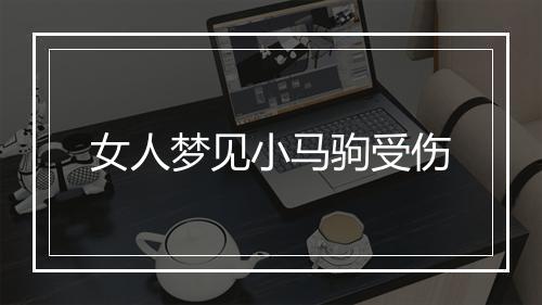 女人梦见小马驹受伤