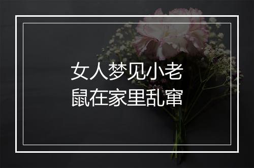 女人梦见小老鼠在家里乱窜