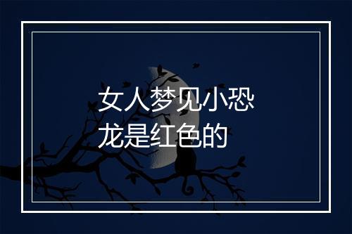 女人梦见小恐龙是红色的