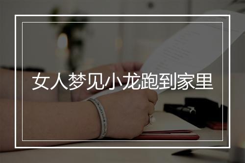 女人梦见小龙跑到家里