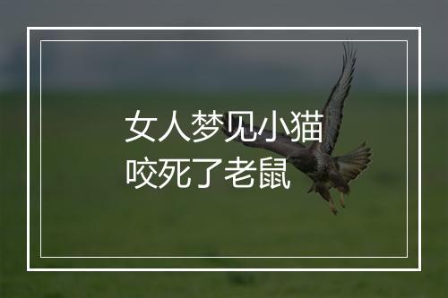 女人梦见小猫咬死了老鼠