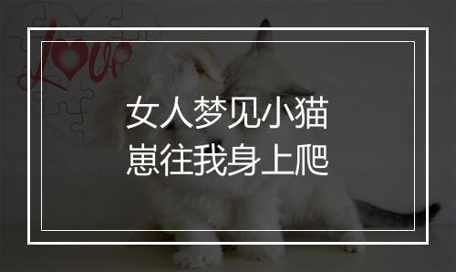 女人梦见小猫崽往我身上爬