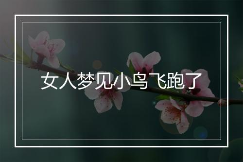 女人梦见小鸟飞跑了