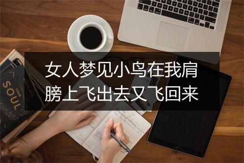 女人梦见小鸟在我肩膀上飞出去又飞回来